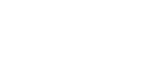 Diario constitucional